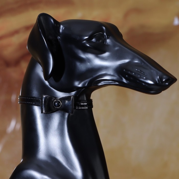 Ошейник Ошейник "Сияние" с бусиной и бубенчиком, 29 х 1 см, ОШ 21-26, чёрный