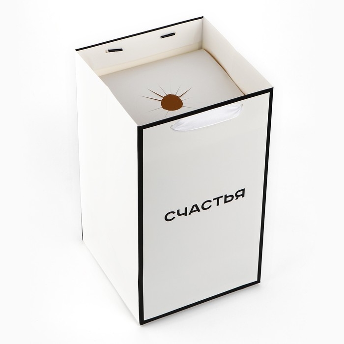 Переноска для цветов с вкладышем для фиксации, «Счастье», белый, 35 х 20 х 20 см Переноска для цветов с вкладышем для фиксации, «Счастье», белый, 35 х 20 х 20 см