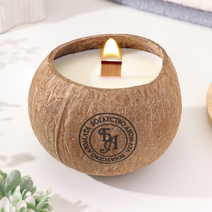 Свеча в кокосе ароматическая, зелёный чай, соевый воск, 8х10 см, в коробке Свеча в кокосе ароматическая, зелёный чай, соевый воск, 8х10 см, в коробке