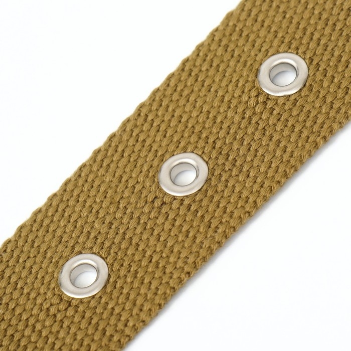 Ошейник брезентовый безразмерный однослойный, 72 х 3,5 см, песочный Ошейник брезентовый безразмерный однослойный, 72 х 3,5 см, песочный