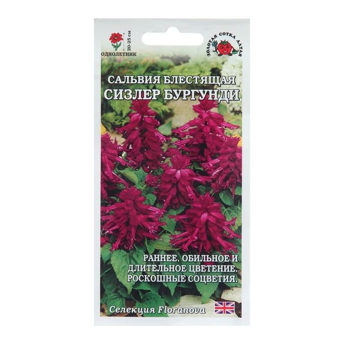 Семена цветов Сальвия  Семена цветов Сальвия "Сизлер Бургунди", 10 шт