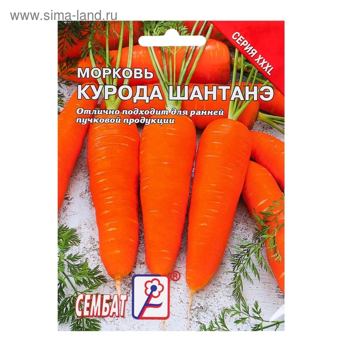 Семена ХХХL Морковь  Семена ХХХL Морковь "Курода Шантанэ", 10 г