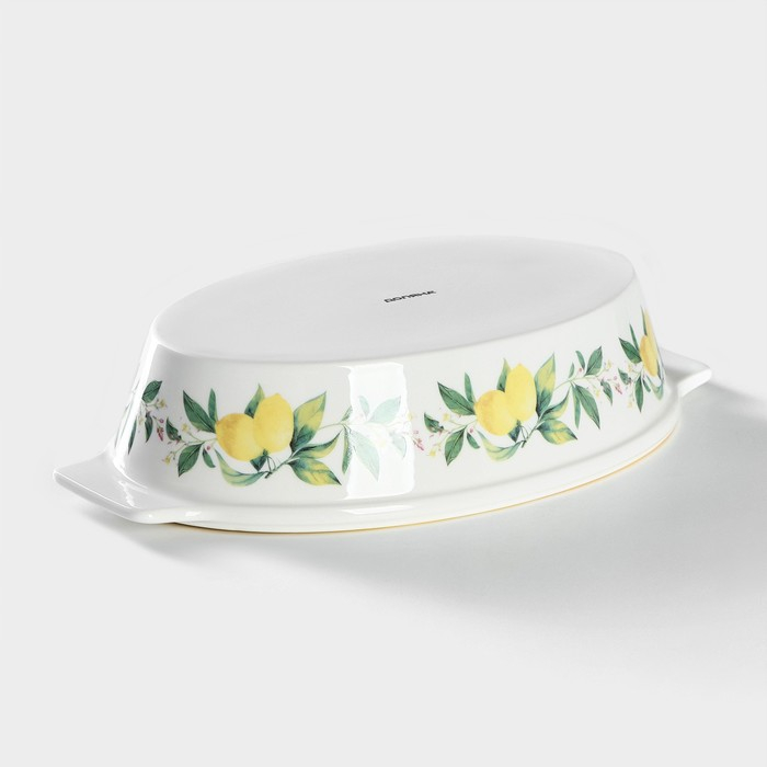 Форма для выпечки из жаропрочной керамики овальная Доляна «Лимон», 30,5×18 см, цвет белый Форма для выпечки из жаропрочной керамики овальная Доляна «Лимон», 30,5×18 см, цвет белый