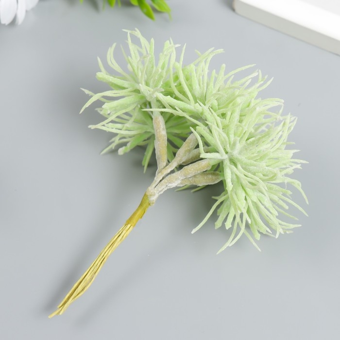 Декор для творчества Декор для творчества "Сфангум" 1 букет=6 цветов светло-зелёный 5х13,5 см