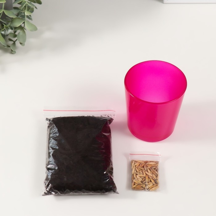 Набор для выращивания растений Набор для выращивания растений "Вырасти травку" розовый