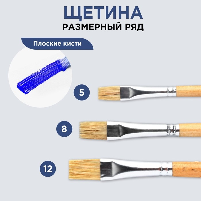 Кисть для рисования щетина плоская № 12 Кисть для рисования щетина плоская № 12