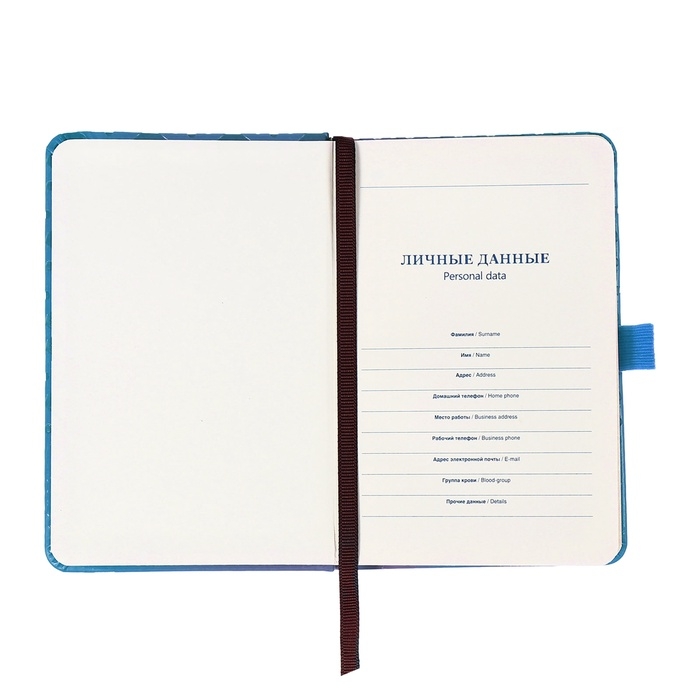 Ежедневник недатированный, формат А6, 100 листов, в клетку, обложка кожзам, на резинке, синий Ежедневник недатированный, формат А6, 100 листов, в клетку, обложка кожзам, на резинке, синий