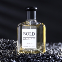 Туалетная вода мужская Bold Original, 100 мл (по мотивам Boss Bottled (H.Boss)