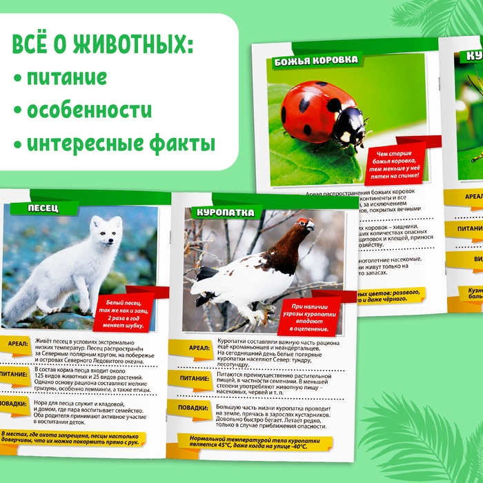 Мини-энциклопедии «Мир животных», 8 шт. по 20 стр. Мини-энциклопедии «Мир животных», 8 шт. по 20 стр.