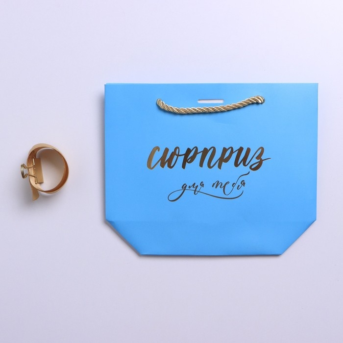 Пакет подарочный, упаковка, «Сюрприз», 14 х 17 х 7 см Пакет подарочный, упаковка, «Сюрприз», 14 х 17 х 7 см