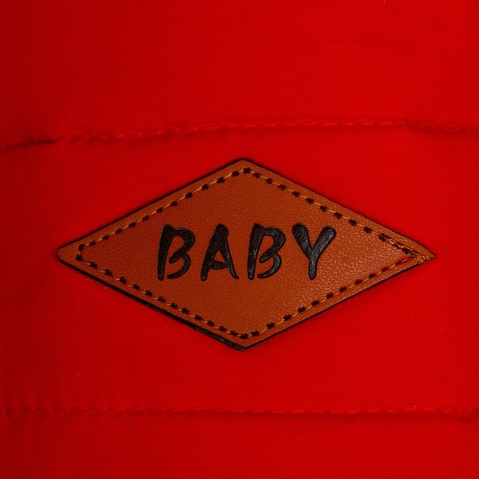 Куртка для собак, S (ДС 20 см, ОШ 23 см, ОГ 32 см), красная Куртка для собак, S (ДС 20 см, ОШ 23 см, ОГ 32 см), красная