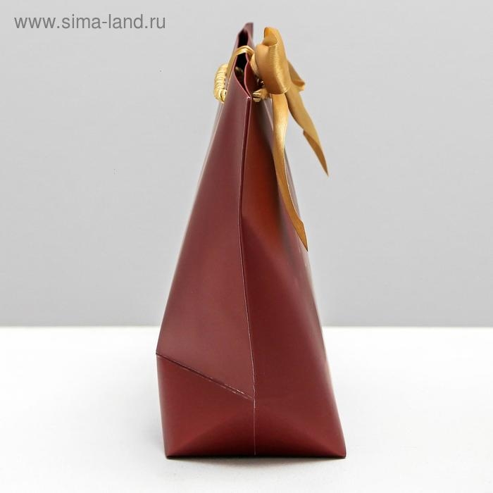 Пакет подарочный, упаковка, Present for you, 19 х 20 х 9 см Пакет подарочный, упаковка, Present for you, 19 х 20 х 9 см