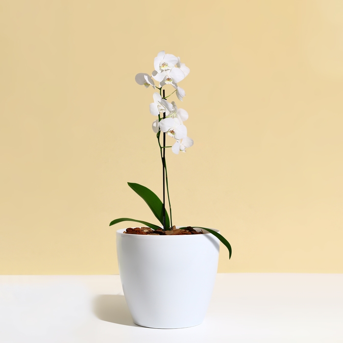 Горшок для цветов, d = 17 см, 2,7 л, пластик, белый