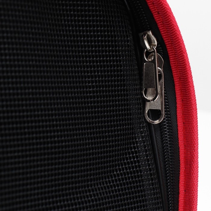 Сумка - переноска для животных  Сумка - переноска для животных "Радуга", размер М, 40 х 21 х 27 см