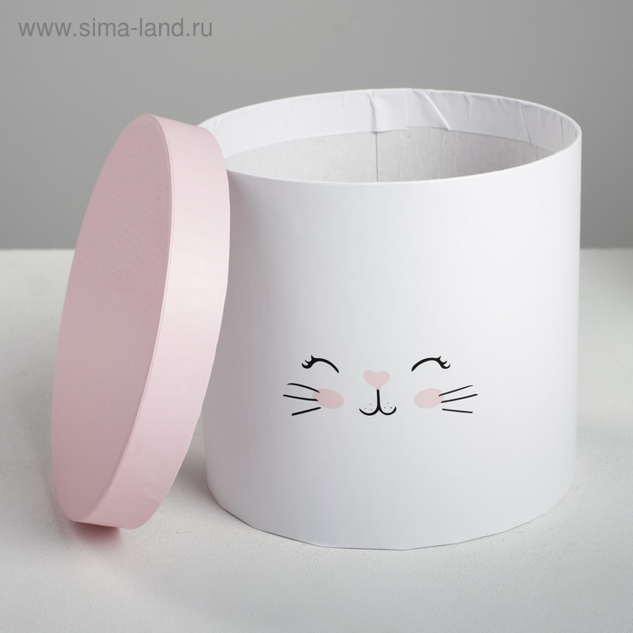 Набор коробок 3 в 1, упаковка подарочная, «Котики», 14 х 14 х 13 - 18 х 18 х 15 см