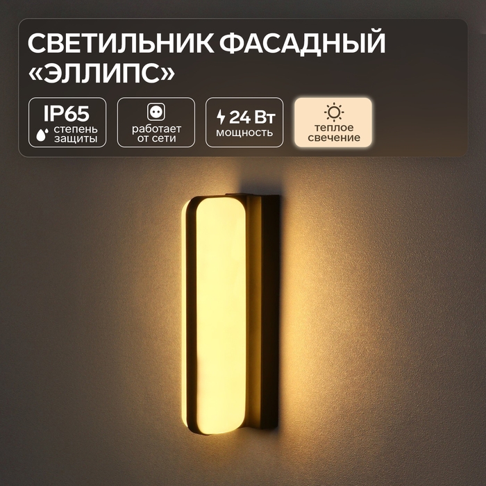 Светильник фасадный «Эллипс», FSD-029, 24 Вт, 3000K, IP65, 220 В, пластик, черный Светильник фасадный «Эллипс», FSD-029, 24 Вт, 3000K, IP65, 220 В, пластик, черный