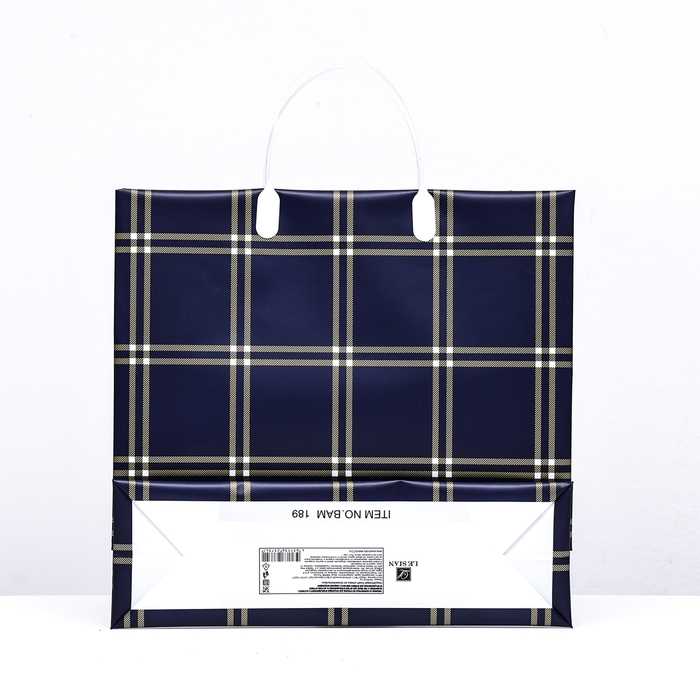 Пакет Пакет "Синяя клетка", мягкий пластик, 29 x 30 см, 100 мкм