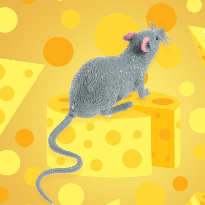 Фигурка животного тянущаяся «Мышка», МИКС Фигурка животного тянущаяся «Мышка», МИКС