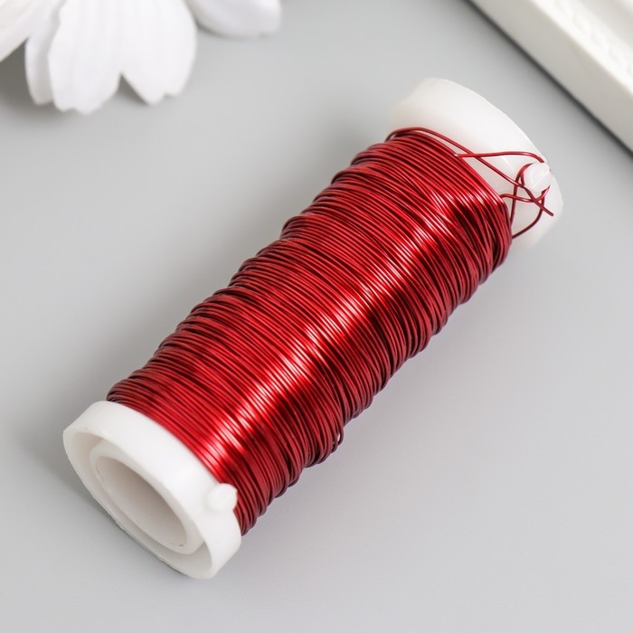 Проволока для творчества Проволока для творчества "Красный" 30 метров, толщина 0,3 мм 5,5х2,2х2,2 см