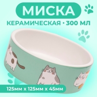 Миска керамическая "Котяры" 300 мл  12,5 x 4,5 cм, бело-зелёная