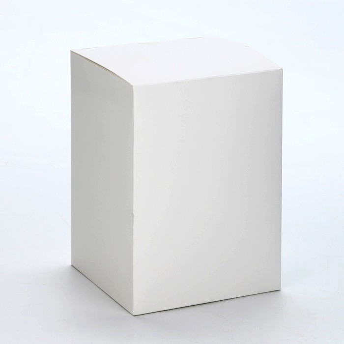 Копилка-сейф Копилка-сейф "Коплю свой первый миллион", 15,5х11х10 см