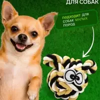 Мячик из каната &laquo;Глазастик&raquo;,10 см, до 120 г
