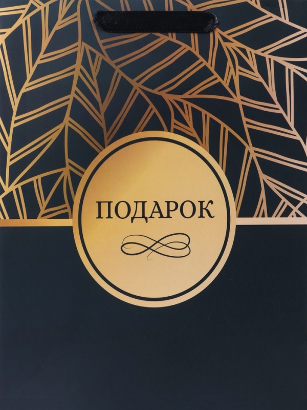 Пакет подарочный ламинированный вертикальный «Подарок», M 26 × 32 × 12 см