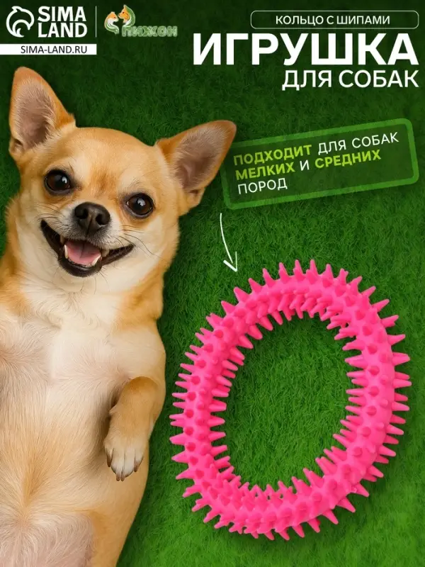 Игрушка для собак &laquo;Кольцо с шипами&raquo;, 12.5 см, розовая