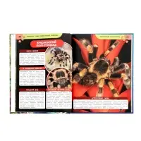 Энциклопедия «Аксолотль. Самые удивительные животные» 405007 Энциклопедия «Аксолотль. Самые удивительные животные» 405007