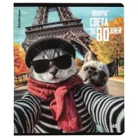 Тетрадь в клетку, 48 листов, ErichKrause. CatVoyage, обложка мелованный картон, МИКС