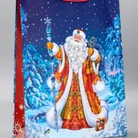 Пакет подарочный новогодний ламинированный, «Дед Мороз» , 33×10×42.5 см Пакет подарочный новогодний ламинированный, «Дед Мороз» , 33×10×42.5 см