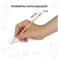Карандаш чернографитный Красин «Конструктор» HB шестигранный, заточенный, с ластиком