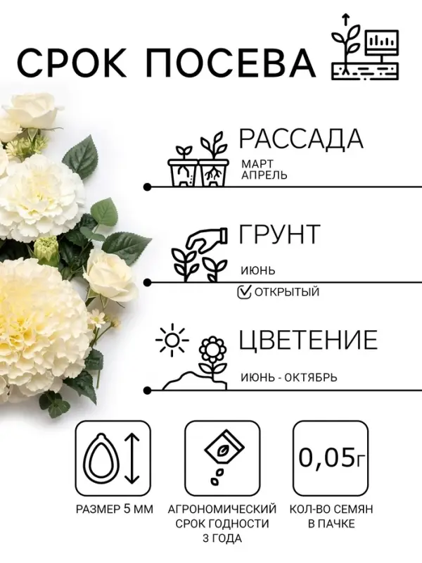 Семена цветов Тагетес, бархатцы прямые &laquo;Килиманджаро&raquo;, F1, 0.05 г, &laquo;Гавриш&raquo;