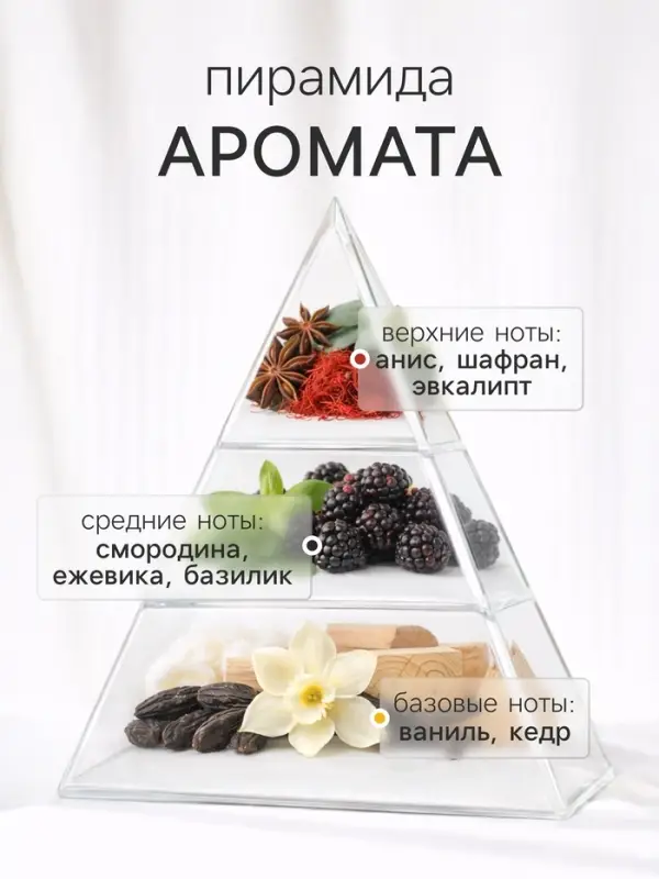 Диффузор ароматический с палочками Hygge Home Ежевика, Смородина, Базилик, 50 мл