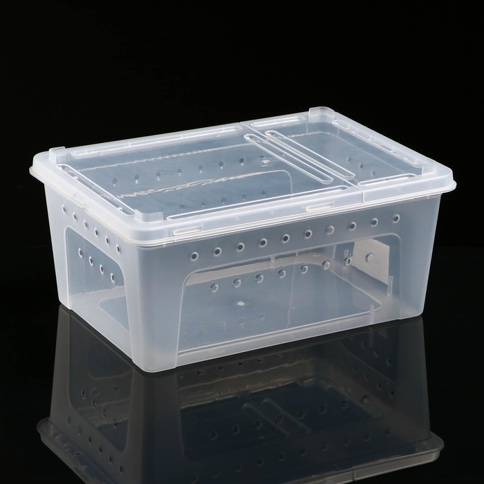 Переноска - отсадник для рептилий, 26 х 17,5 х 11,5 см Переноска - отсадник для рептилий, 26 х 17,5 х 11,5 см