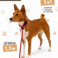 Ринговка для собак, 130&times;0.8 см, красная