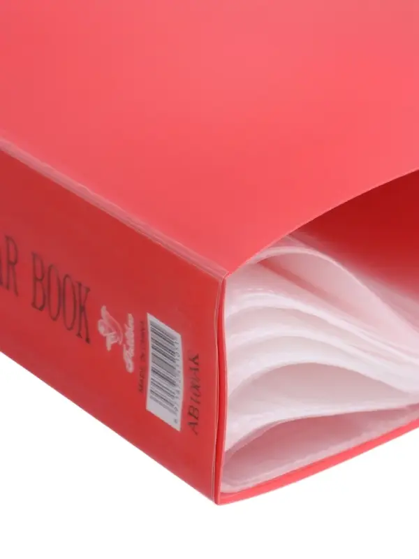 Папка А4, 100 прозрачных файлов, 400 мкм, МИКС