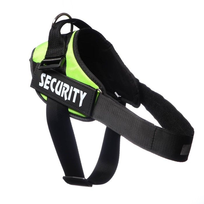 Шлейка К9 мягкая светоотражающая, размер L, ОГ 68-80 см, вес 17,5-32,5 см, зелёная Шлейка К9 мягкая светоотражающая, размер L, ОГ 68-80 см, вес 17,5-32,5 см, зелёная