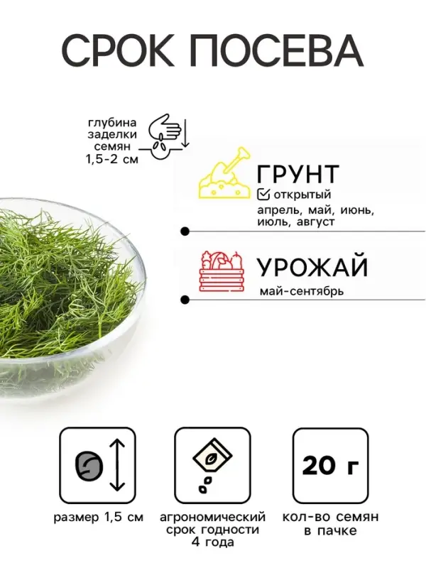 Семена Укроп &laquo;Кибрай&raquo;, XXXL, &laquo;Сембат&raquo;, 20 г