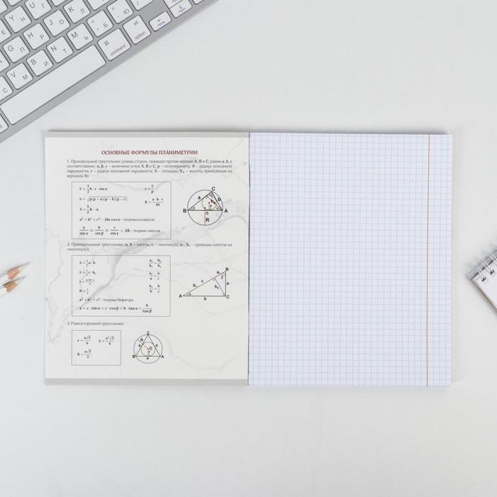 Тетрадь предметная 48 листов, А5, МРАМОР, со справ. мат. «1 сентября: Геометрия», обложка мелованный картон 230 гр внутренний блок в клетку белизна 96% Тетрадь предметная 48 листов, А5, МРАМОР, со справ. мат. «1 сентября: Геометрия», обложка мелованный картон 230 гр внутренний блок в клетку белизна 96%
