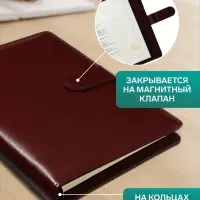Ежедневник-органайзер Calligrata &laquo;Классика&raquo;, А5, 96 листов, на кнопке, МИКС