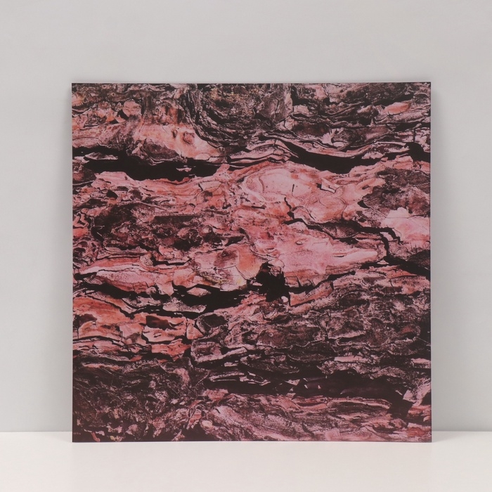 Фотофон двусторонний картон плотность 350 гр Фотофон двусторонний картон плотность 350 гр "Кора" 50х50 см