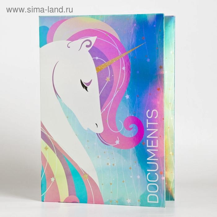 Папка для документов &laquo;Documents&raquo;, 14 файлов, 4 комплекта, А4