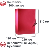 Папка архивная складная 120мм  бордо
