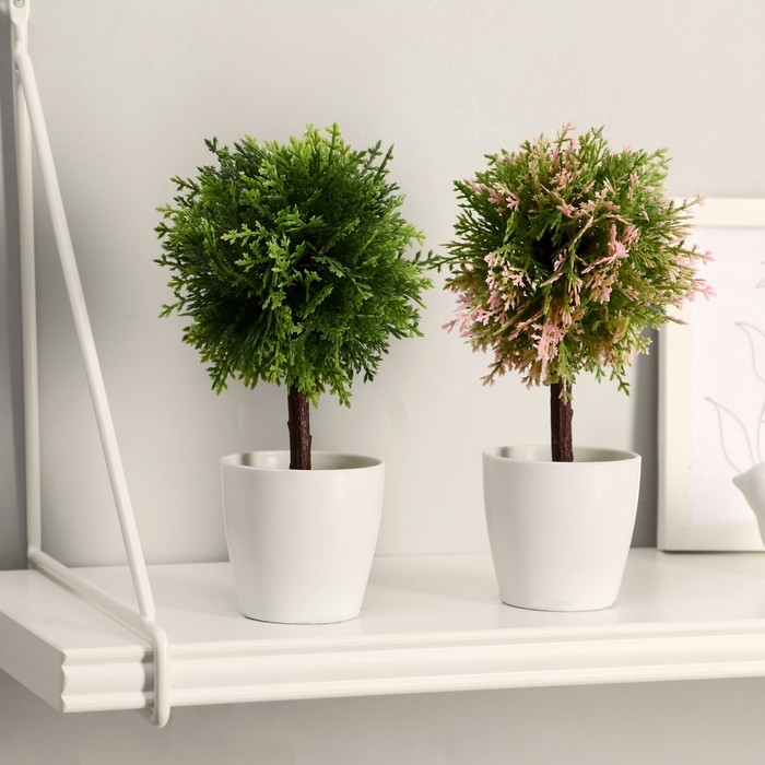 Бонсай в горшке Бонсай в горшке "Листочки-ёлочки" 20 см, микс