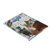 Детская энциклопедия &laquo;Кошки&raquo;