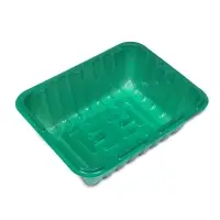 Мини-парник для рассады, 21×16×6.5, без вставок, пластик, Greengo