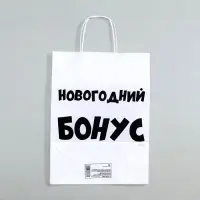 Пакет бумажный подарочный новогодний крафт «Новогодний бонус», белый, 28×24×14 см