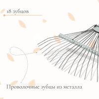 Грабли веерные, проволочные, 18 зубцов, оцинкованные, без черенка