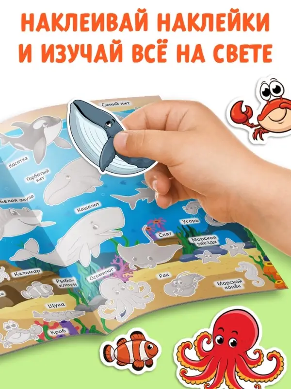 Книги с наклейками многоразовыми &laquo;Познавательные&raquo;, набор 10 шт.